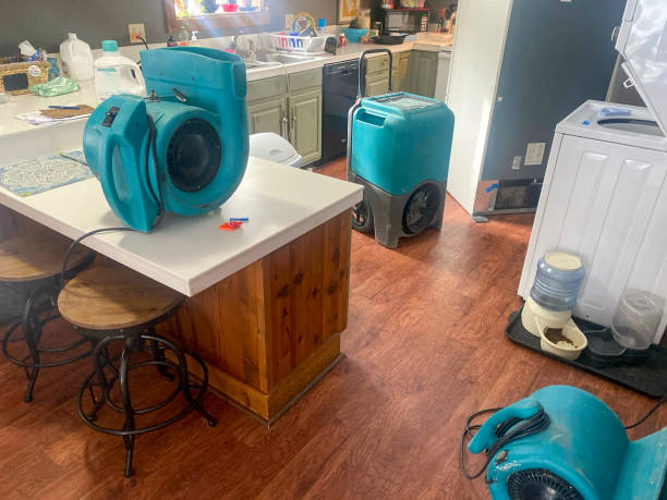 Best Water damage repair service  in Twin Lakes, CO