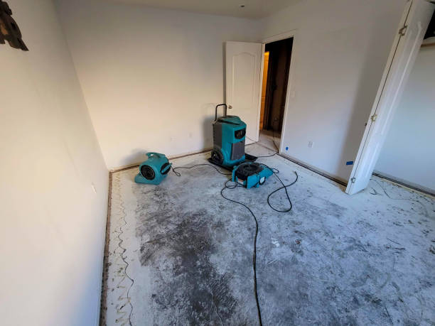 Water damage restoration mold remediation in CO