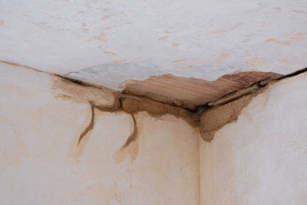 Best 24-hour water damage restoration  in Twin Lakes, CO