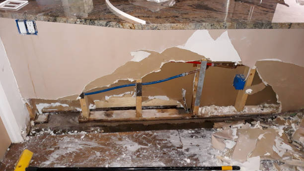 Best Local water damage restoration  in Twin Lakes, CO