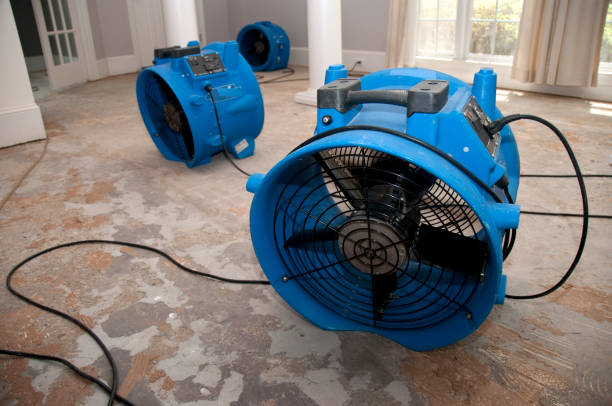 Best Commercial water damage restoration  in Twin Lakes, CO