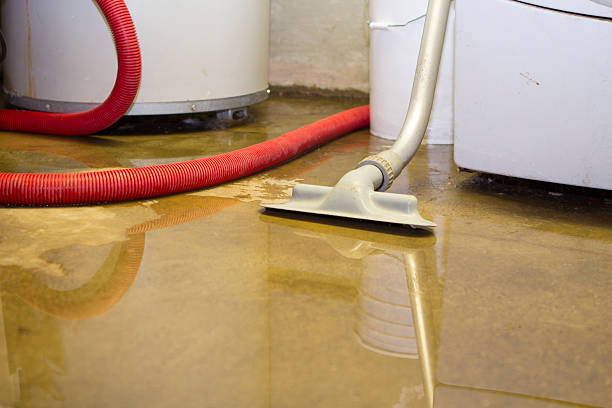 Best Flood damage cleanup  in Twin Lakes, CO