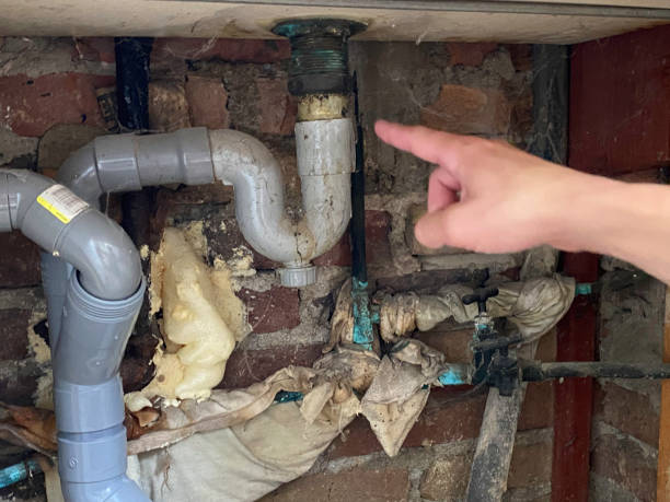 Best Mold removal after water damage  in Twin Lakes, CO